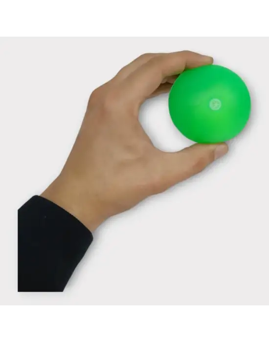 Omarı Köpek Oyuncağı - Eğlenceli Düdüklü Top