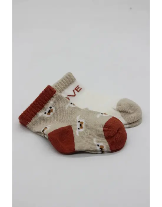 Omarı Sevimli Desenli Penye Soket Çorap Seti - Bej