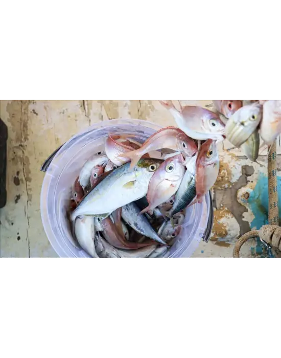 Misina İpi 300 Metre