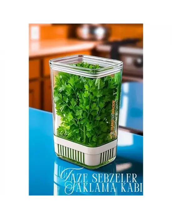 Omarı Taze Yeşillik Saklama Kabı - Pratik Saklama Çözümü - Soğan, Maydanoz ve Diğer Yeşillikler İçin