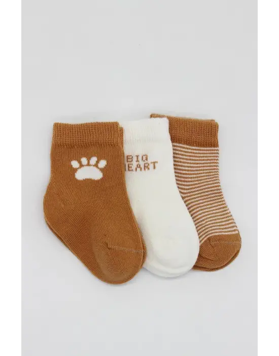 Omarı 3lü Renkli Penye Çorap Seti