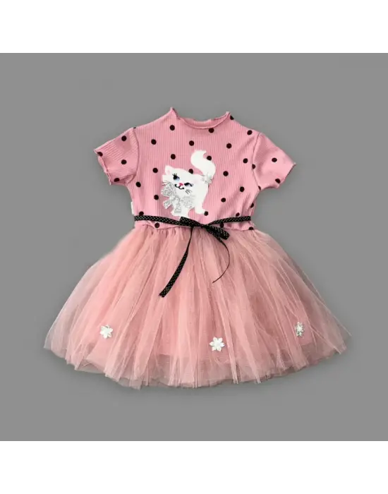 Omarı Kedicik Desenli Puantiyeli Kız Bebek Elbisesi