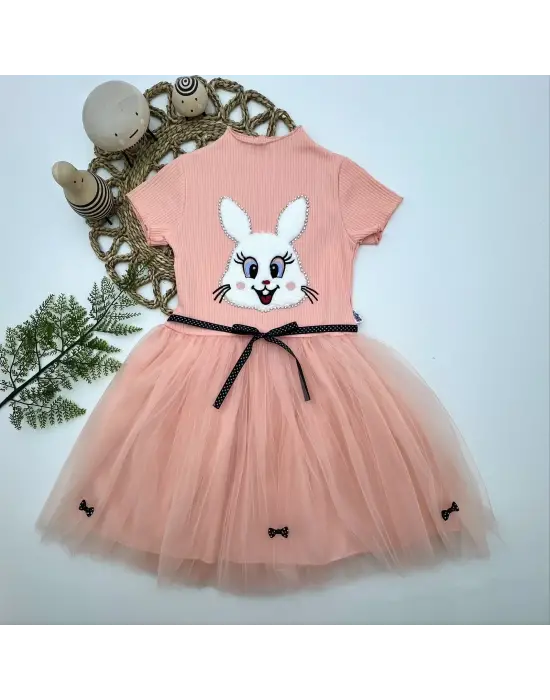 Omarı Pudra Renkli Payetli Tavşan Desenli Kız Çocuk Elbisesi