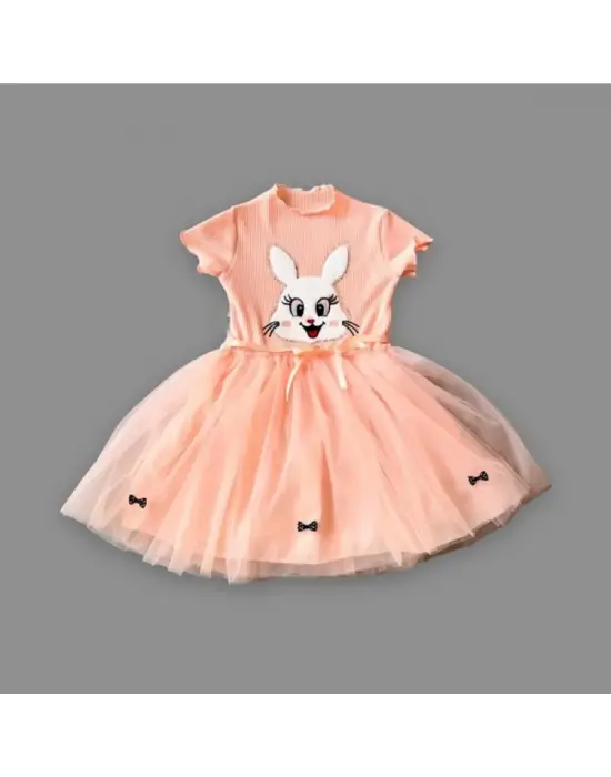Omarı Pudra Renkli Payetli Tavşan Desenli Kız Çocuk Elbisesi