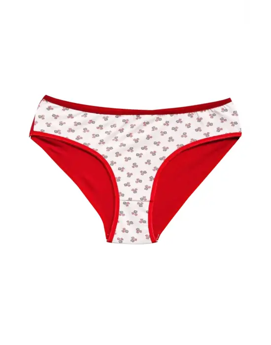 Pamuklu Geniş Kenarlı Likralı Desenli   Kadın Külot 10lu paket