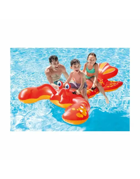 Omarı Büyük Boy 3D Istakoz Binici Oyuncak - Renkli Sahne