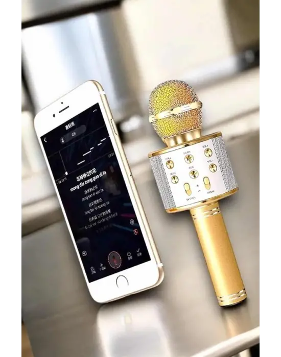 Şarjlı Ve Uzun Pil Ömürlü Karaoke Mikrofon Usb Bellek Destekli, Profesyonel Ses