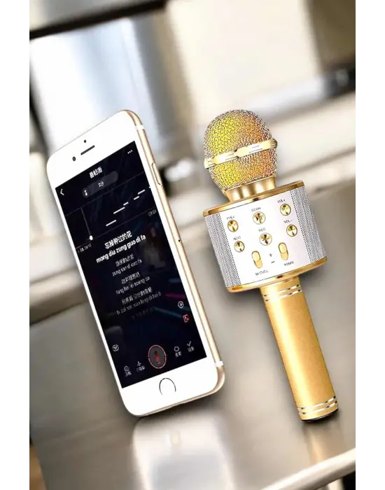 Şarjlı Ve Uzun Pil Ömürlü Karaoke Mikrofon Usb Bellek Destekli, Profesyonel Ses