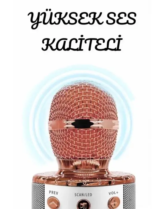 Şarjlı Ve Uzun Pil Ömürlü Karaoke Mikrofon Usb Bellek Destekli, Profesyonel Ses