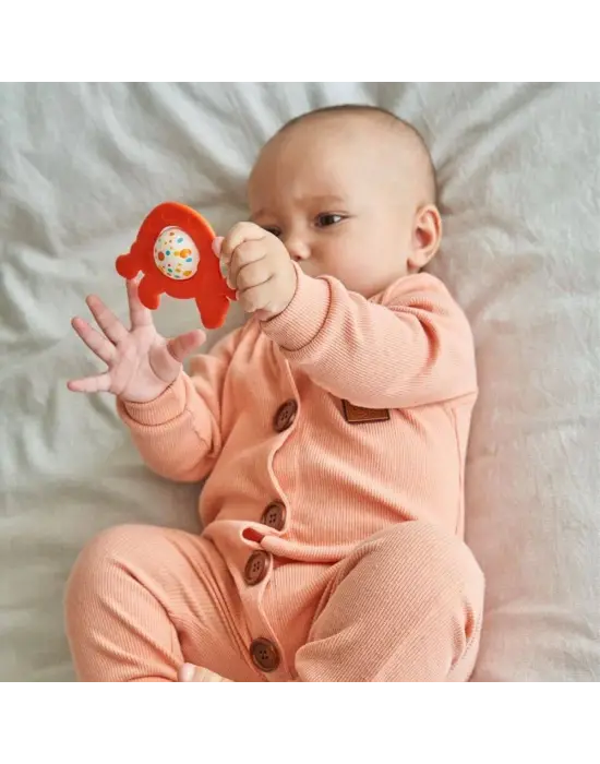 Omarı Sevimli Diş Kaşıyıcı ve Çıngıraklı Oyuncak