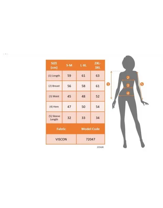 Omarı Zarif Kadın Yaka Detaylı Viskon Bluz