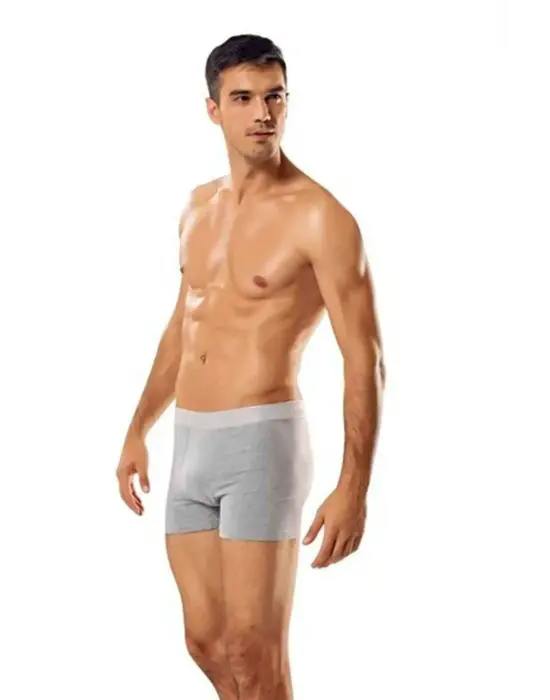 Stil Sahibi Erkek Gri Boxer
