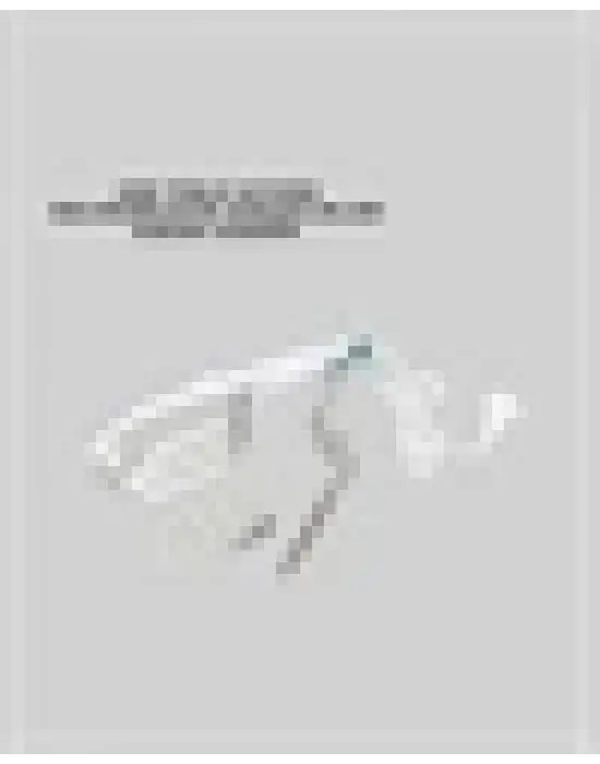 Taşınabilir Buharlı Ütü 1500w | Giysilerde Yanık Bırakmaz, Kokuyu Giderir