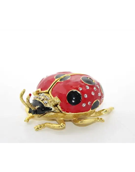 Uğur Böceği Model 1