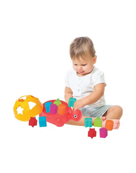 Omarı Rengarenk Kaplumbağa Bultak