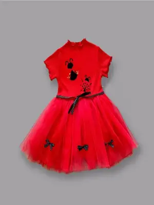 Yenilikçi Nakışlı Kız Çocuk Elbisesi