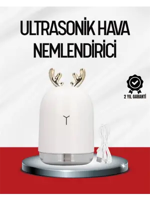 El Tipi Usb Mini Soğuk Mist Nemlendirici 220 ml Tank