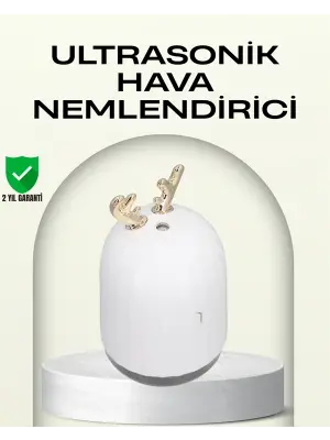 Abs+pp Malzemeli Taşınabilir 220 ml Usb Mist Nemlendirici