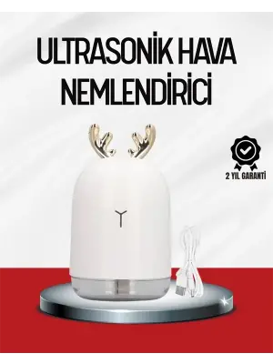 El Tipi Usb Mini Soğuk Mist Nemlendirici 220 ml Tank