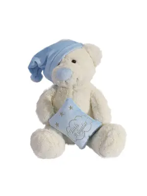 9104 UYKU ARKADAŞIM AYI