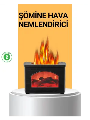 Aromaterapi Destekli Ultrasonik Nemlendirici Usb Bağlantılı Sessiz Model