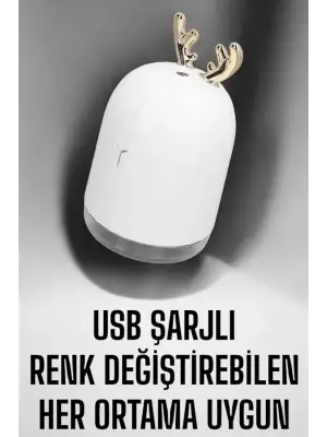 Aromaterapi Hava Temizleyici Buhar Makinesi Taşınabilir Şarjlı