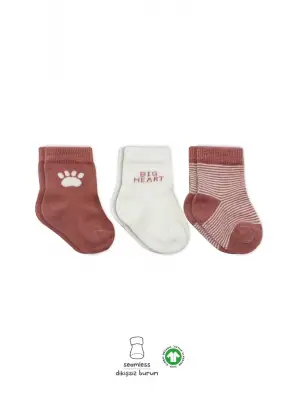 Omarı Penye Soket Çorap Seti - Pudra Renkli