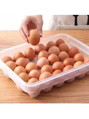 Omarı Yumurta Saklama Kabı Seti - Pratik ve Hijyenik Çözüm