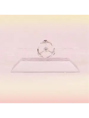 Omarı Manyetik Kinetik Orbital Dönen Yunuslar Masa Üstü Dekor