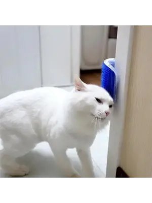 Omarı Duvara Monte Kedi Tüyü Tarama Aparatı - Etkili Kaşıma Çözümü