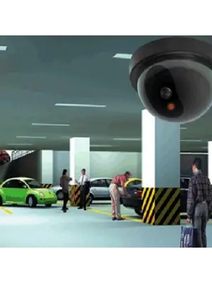 Caydırıcı Dome Kamera