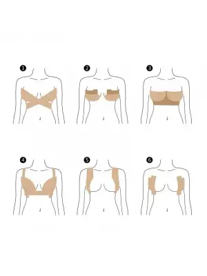 Göğüs Dikleştirme Bandı S Beden 2.5 Cm.