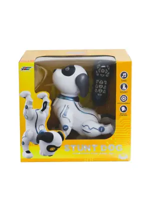 K16 BY UZAK KUM AKROBATİK KÖPEK