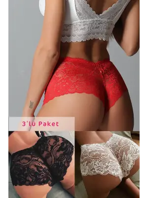 Omarı Eşsiz Renkli Dantel Tanga Seti