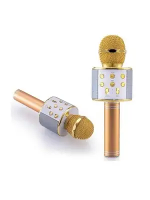 Karaoke Mikrofon Dahili Hoparlörlü Sd-usb-aux Girişli Bluetooth Hoparlör