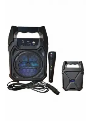 Karaoke Mikrofonlu Fm Radyolu Bluetooth Hoparlör Yüksek Ses Kaliteli