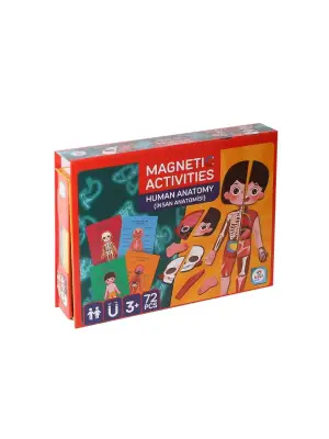 Omarı Manyetik Aktiviteli İnsan Anatomisi Eğitim Seti