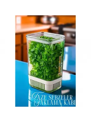 Omarı Taze Yeşillik Saklama Kabı - Pratik Saklama Çözümü - Soğan, Maydanoz ve Diğer Yeşillikler İçin