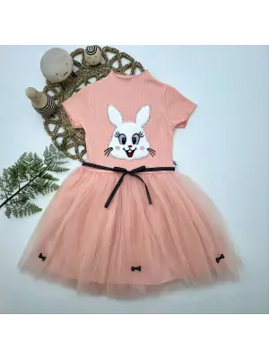 Omarı Pudra Renkli Payetli Tavşan Desenli Kız Çocuk Elbisesi