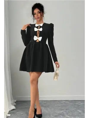 Omarı Zarif Fiyonk Detaylı Uzun Kollu Mini Boy Elbise