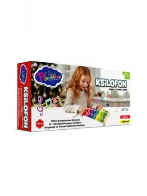 Omarı Renkli Nota Ahşap Ksilofon