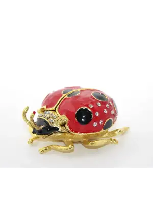 Uğur Böceği Model 1