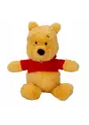 Omarı Sevimli Winnie The Pooh Peluş Oyuncak 25 cm