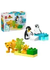 10442 Lego Duplo Penguen ve Aslanlar 10 parça +2aş