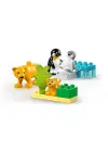 10442 Lego Duplo Penguen ve Aslanlar 10 parça +2aş