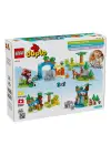 10446 Lego Duplo 3ü1 Arada Vahşi Hayvan Aileleri 92 parça +2aş