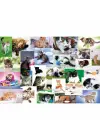 Omarı Interaktif Kedi Temalı 60 Parça Puzzle Oyunu