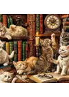 20090 PUZZLE 500 CATS İN THE LİBRARY