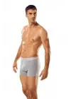 Stil Sahibi Erkek Gri Boxer