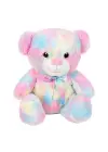 4771 Gökkuşağı Renkli Peluş Ayı 45 cm -Sunman